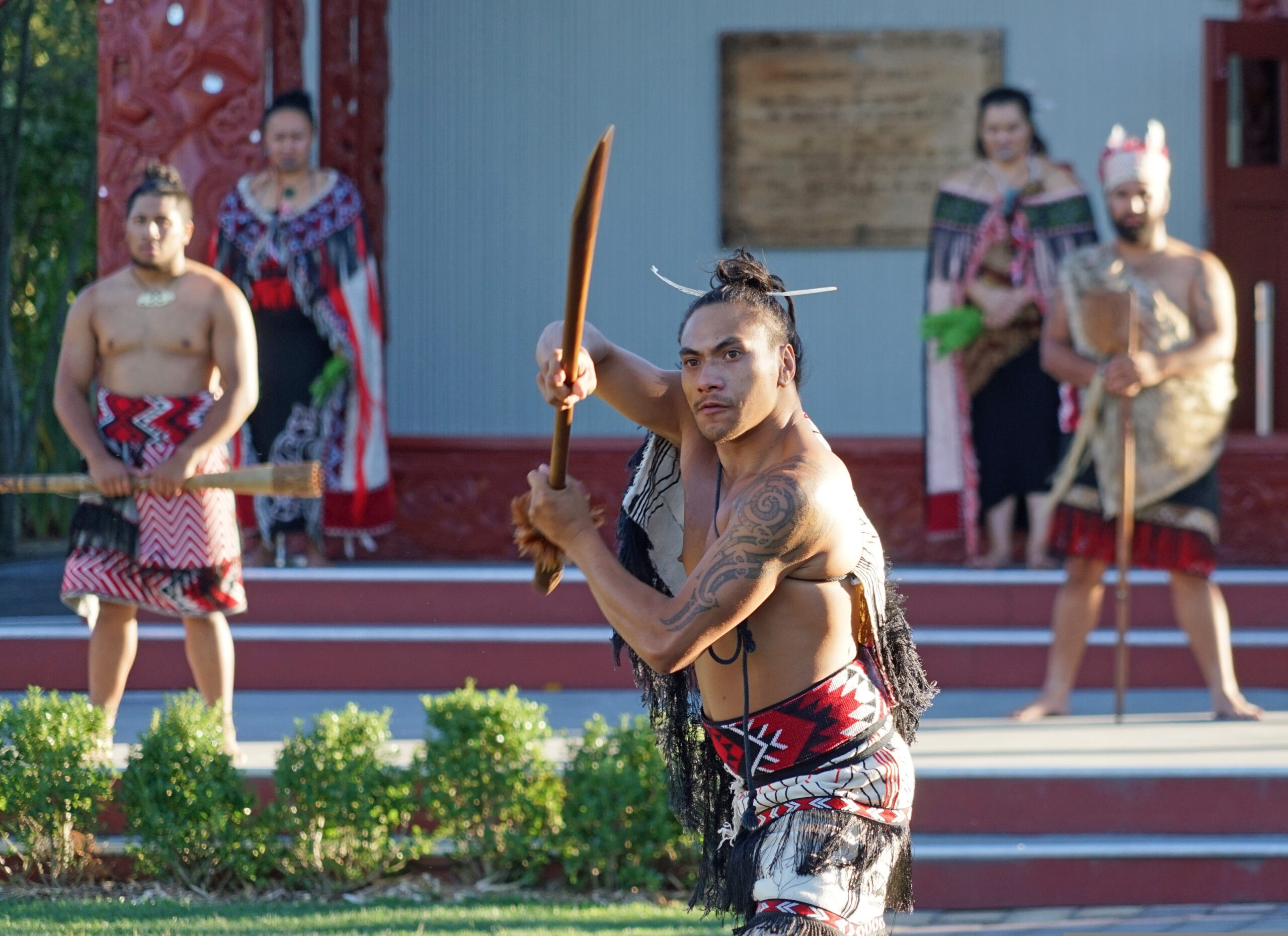 Maori Painted Warrior New Zealand
