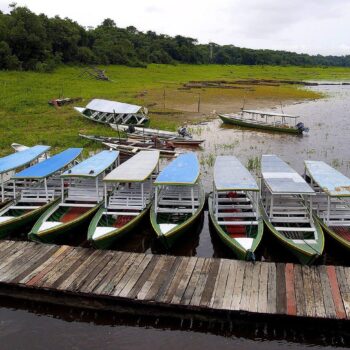 Where the Rainforest Breathes: 10 Unforgettable Experiences in the Amazon Basin