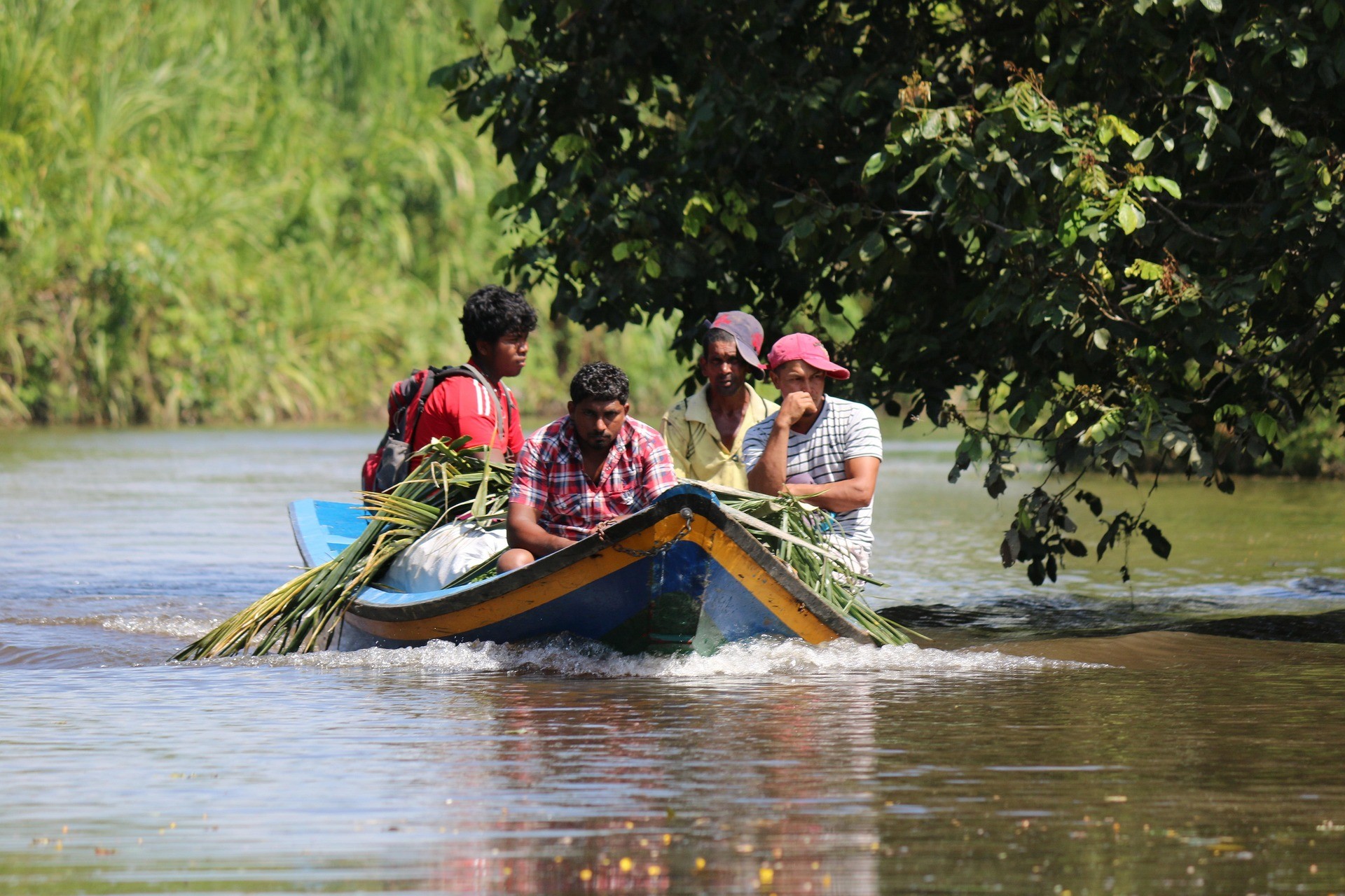 Guyana Farmer