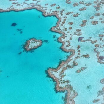 Wild & Wonderful: 25 Breathtaking Experiences Across Australasia