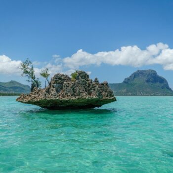 Where the Wild Still Wanders: 10 Unforgettable Experiences in East Africa