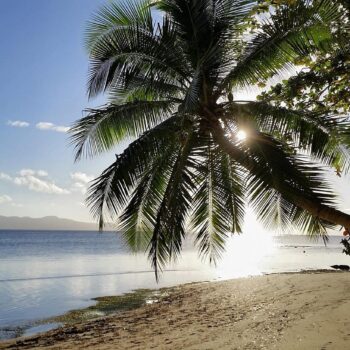 Untamed & Unforgettable: 5 Bucket-List Adventures in Melanesia